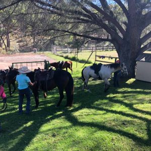 Central West Clinics/Lessons