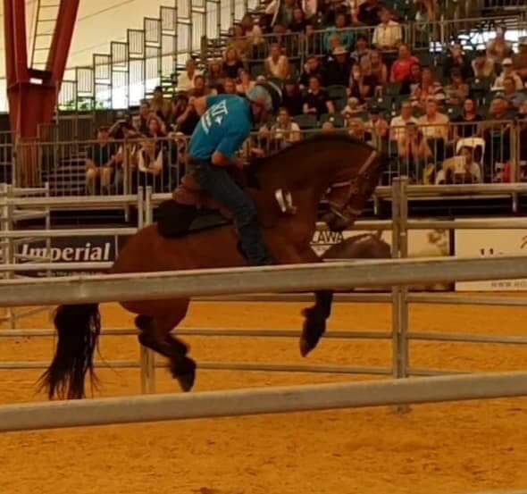 Getting to know us.. – Adam Sutton – AllroundHorsemanship